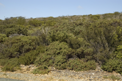 Photo taken at Fort Ord © 2007 by Dylan Neubauer. 